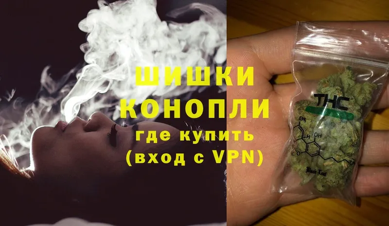 Бошки марихуана THC 21%  наркотики  Старица 